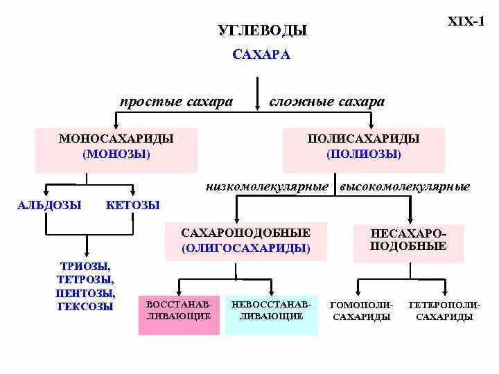 Углеводы простые и сложные схема. Простые и сложные сахара. Простые углеводы сахара. Простые сахара примеры.