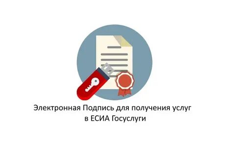 Эл эп