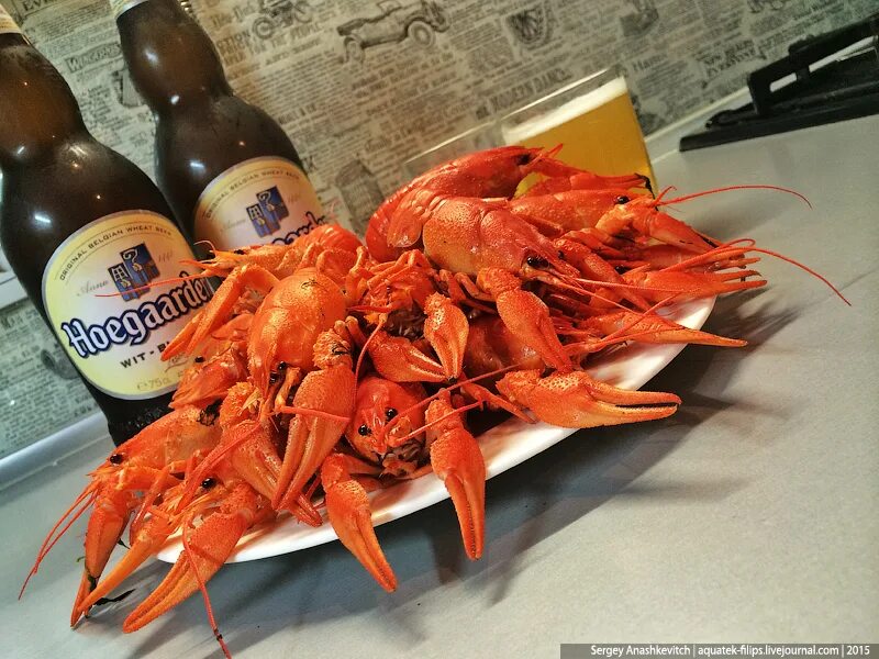 раки с пивом