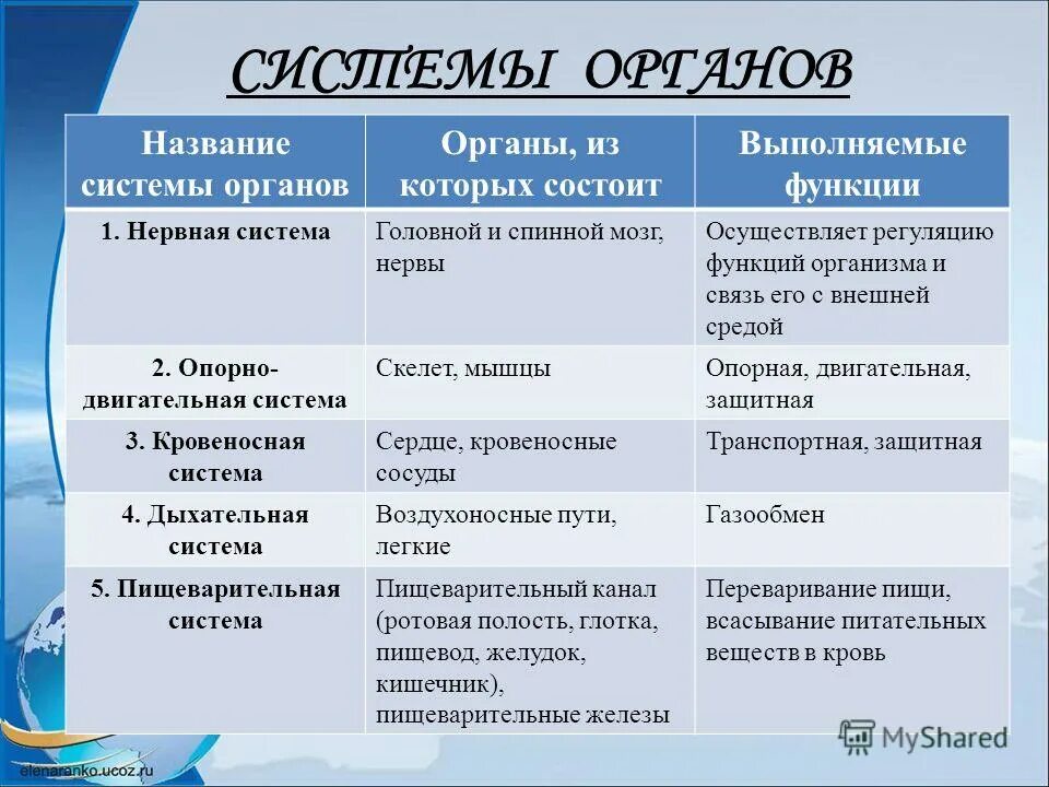 Биология 8 класс строение и функции. Таблица по биологии 8 класс система органов. таблица по биологии 8 класс система органов органы функции. таблица по биологии 8 класс название системы органы функции. таблица системы органов человека название функции органы систем.