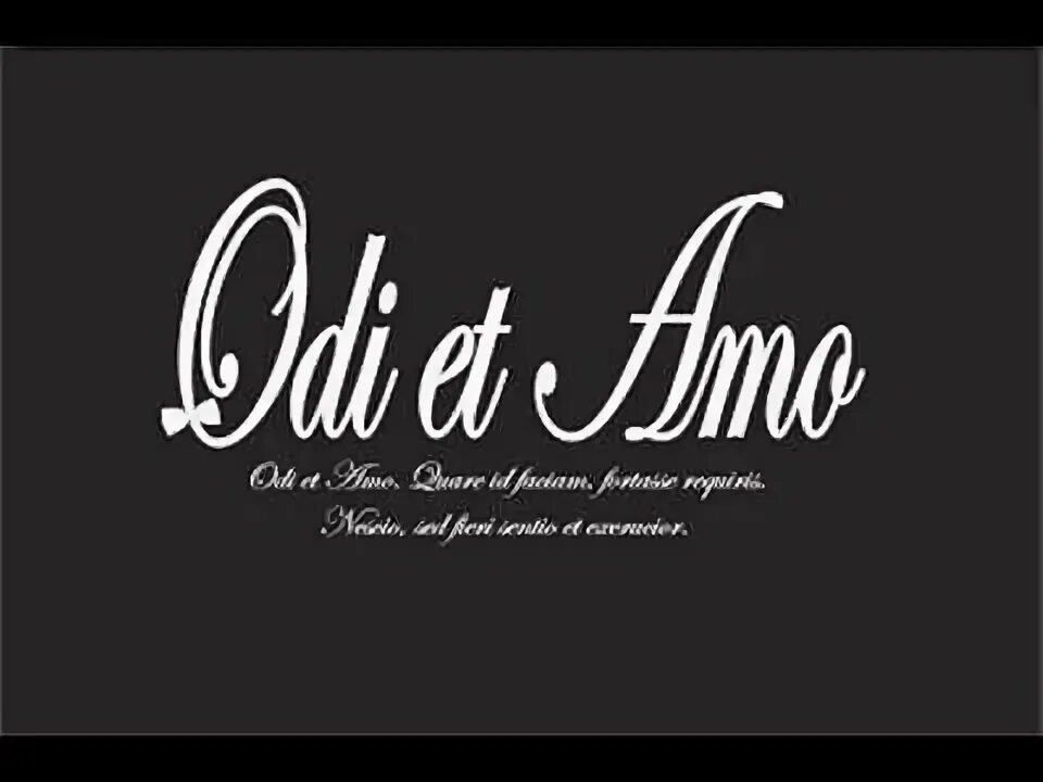 Odi et amo стих. Одежда оди. Amo odi. Odi et amo. Odi et amo.