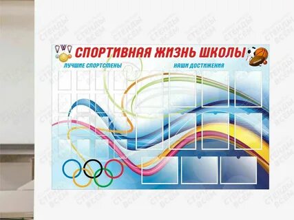 Спортивная жизнь школы