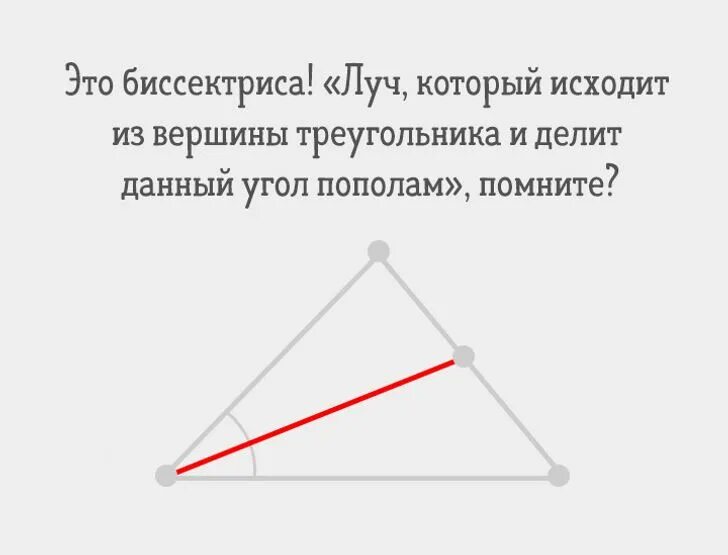 Любая биссектриса треугольника делит его пополам. Биссектриса. Медиана в треугольнике делит угол. Биссектриса делит угол пополам. Медиана делит угол пополам.