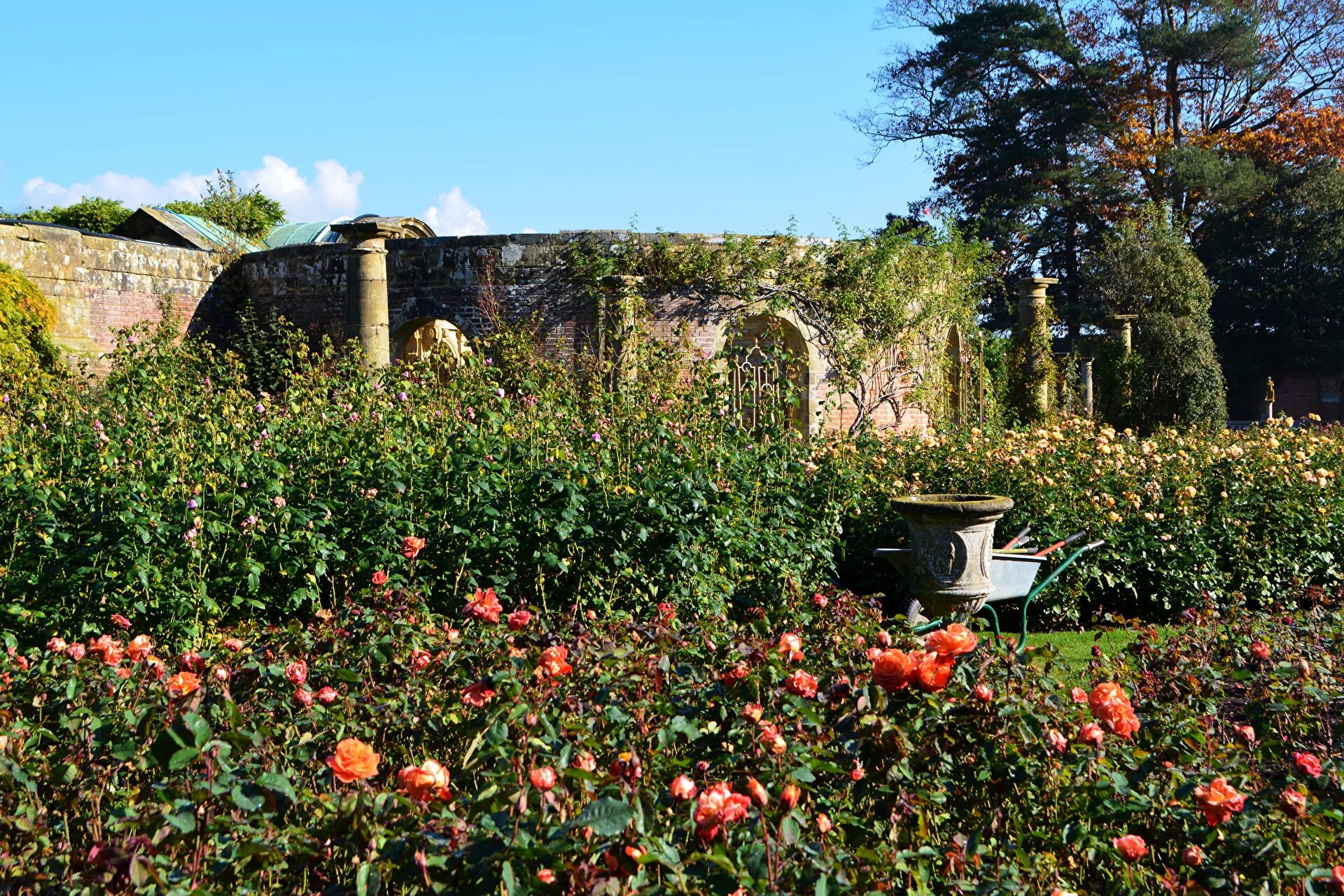 Голубой сад роз. Сады замка Хивер розарий. Сад розы замок. Сад роз Тбилиси.