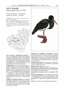 Красная книга самарской