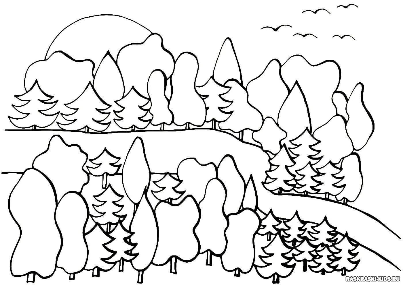 Раскраски для детей 6 7 природа. В лесу. Раскраска. Лес раскраска для детей. Пейзаж для раскрашивания. Раскраска пейзаж.