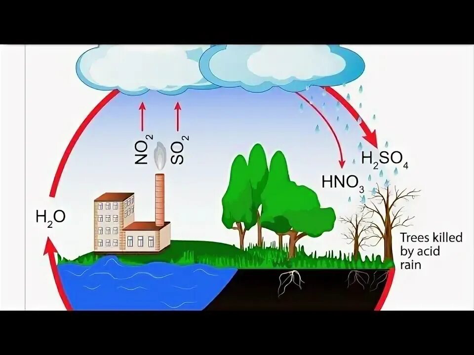 Acid rain portal. Acid rain portal