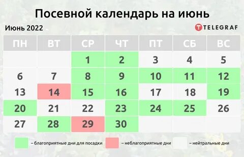 А когда будет июнь