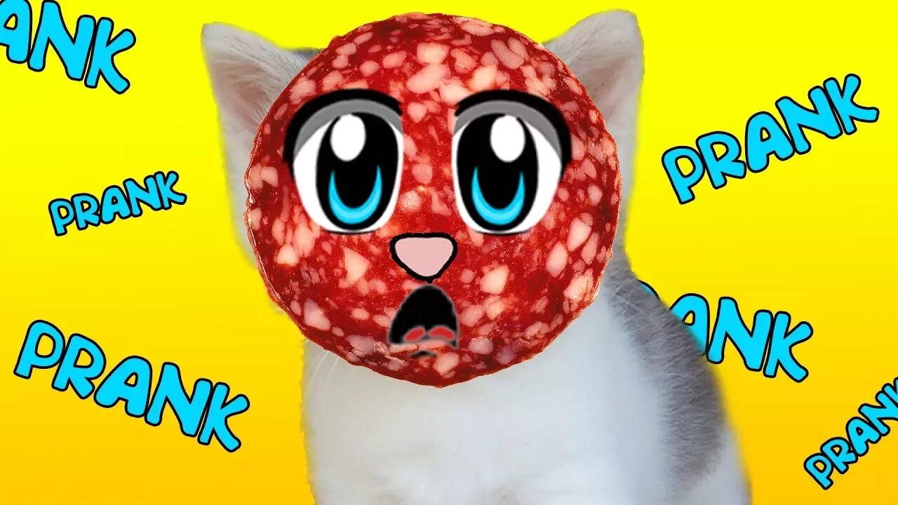 Давай ка веселую. Анука давайка. кошка мурка а ну ка давайка. кот малыш и кошка мурка. а ну-ка давай-ка.