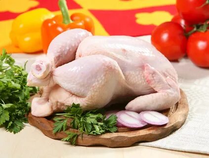 Продукция птица