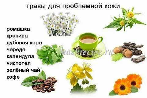 Трава какое лицо