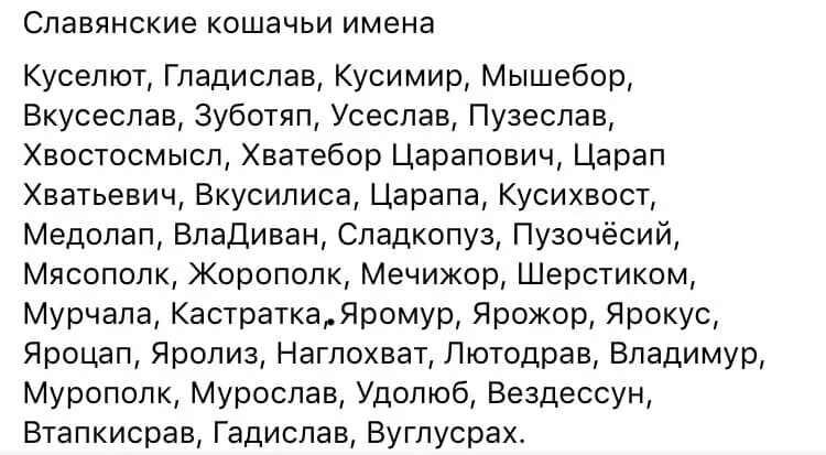 Веселые клички. Славянские и Ена котов. Славянские имена для кошек. Клички для котов. Смешные старорусские имена.