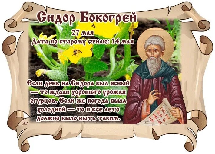 27 мая день праздники. Сидор бокогрей (народный праздник).. 27 Мая народный календарь. Сидор бокогрей Сидор огуречник. Сидор бокогрей народный календарь.