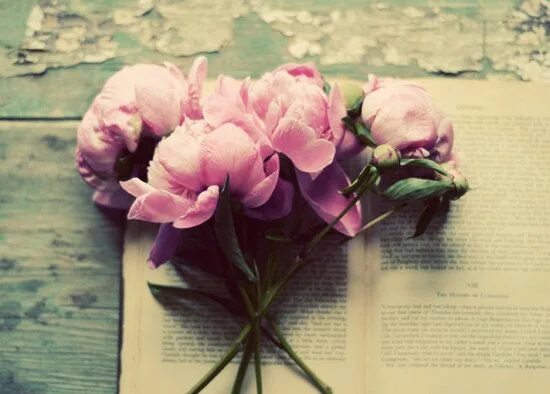 Пионы флэтлэй. Книга цветы пиона. Книга цветы пиона. Ваза с пионами. Книги о цветах.