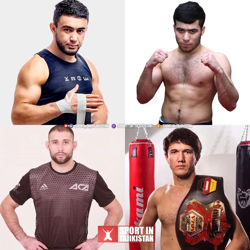 Лоик Раджабов боец. Таджикские бойцы в UFC. Таджикский боец юфс. Таджик в UFC.