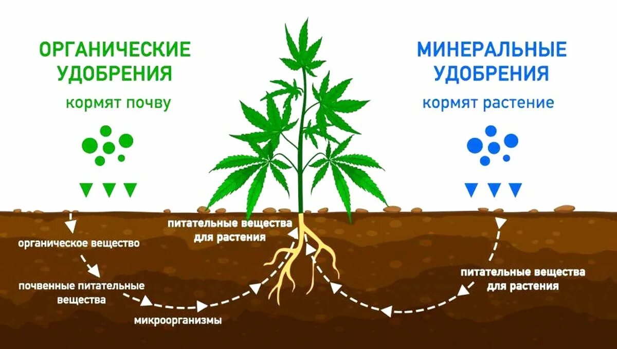 3 как усилить доступ воздуха к корням. Удобрение органическое. Что такое органические и Минеральные удобрения. Удобрения для растений. Химические удобрения.