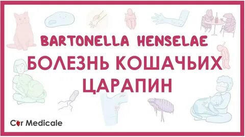 Симптом кошачьей царапины