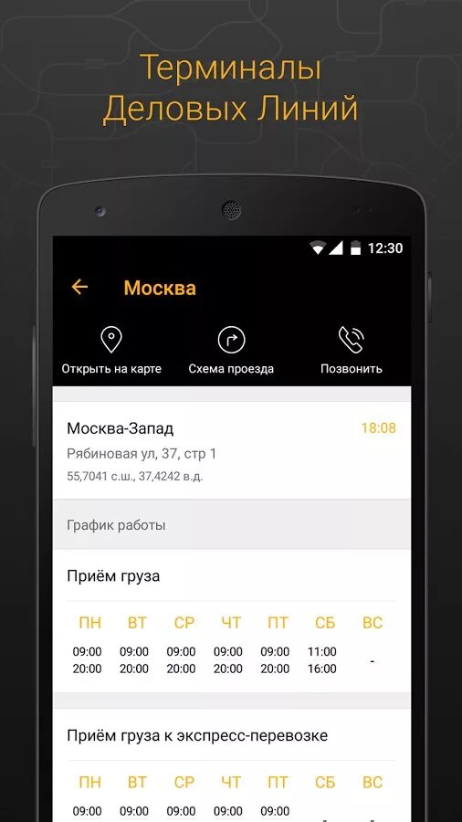 Деловые линии график. Деловые линии приложение. Деловые линии режим работы. Грузоперевозки Деловые линии график.