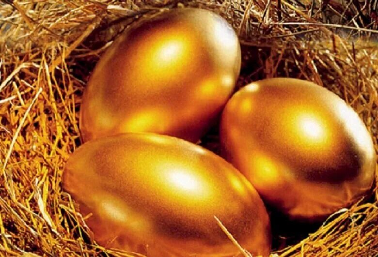 Найдите золотое яйцо. Золотые яйца в интерьере. Золотое яйцо картинка. Розово золотые яйца. Золотое яйцо перепела реалистичное.