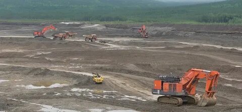 Амур золото отзывы