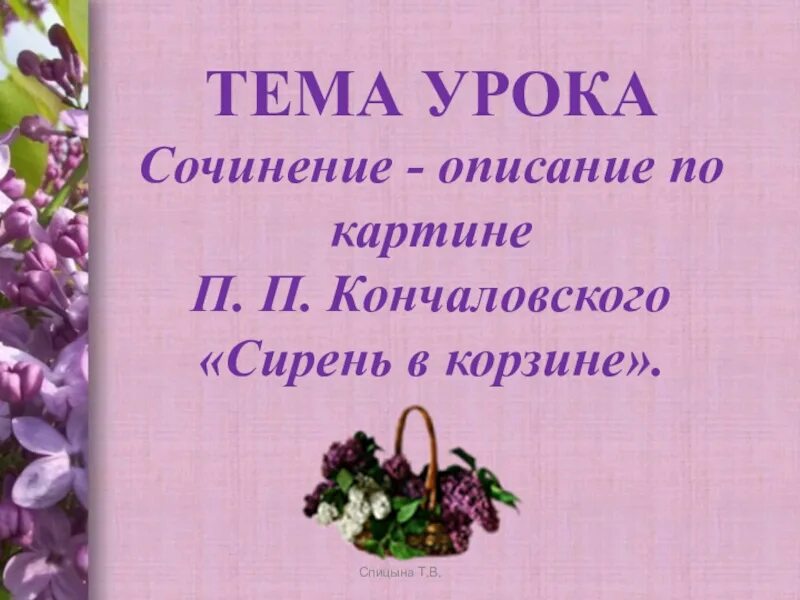 Сочинение про сирень. Сочинение по картине п Кончаловского сирень в корзине. Сочинение сирень в корзине. План к картине сирень в корзине. Описание сирени сирень в корзине кончаловский