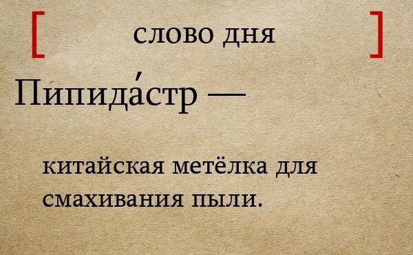 Слово дня. Слово дня русский язык. Интересное слово дня. Необычные дня со словами. Включи слово день