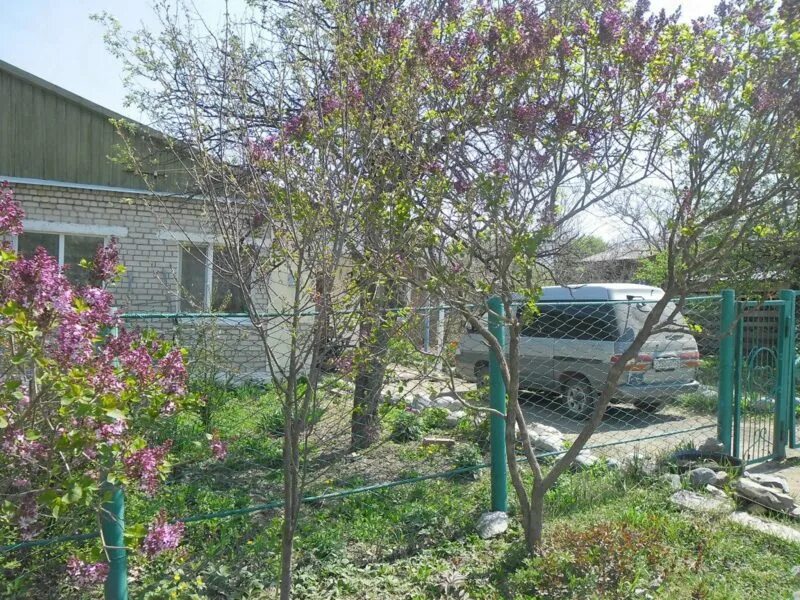 Погода владимиро александровское приморского края. Село владимиро-александровское приморский край. Село владимиро-александровское приморский. Погода владимиро александровское приморского края. Владимиро-александровское приморский край.