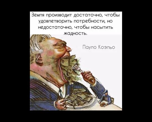 Я пробегаю жадным взглядом