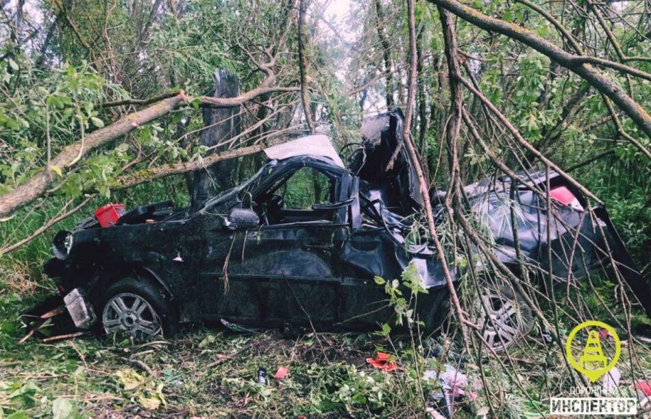 Авария Гатчинский район Ленинградская область. Авто Гатчина ДТП сегодняшняя. Авария в гатчине сегодня