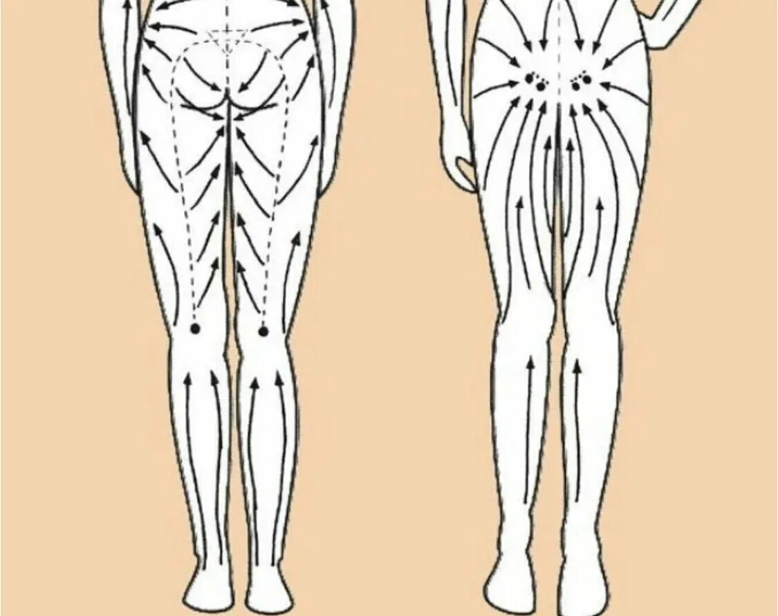 Лимфодренажный массаж ног домашних. Массаж тела Гуаша схема антицеллюлитный. Массажные линии тела лимфа. Лимфатическая система массажные линии. Схема проведения лимфодренажного массажа.