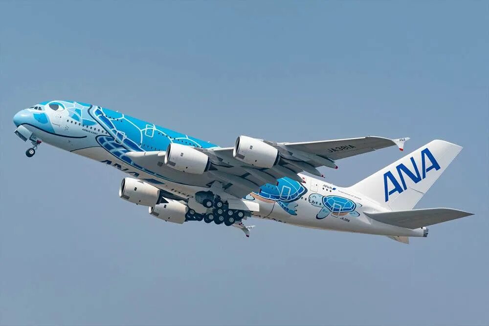 Japan airlines и all nippon airways. Авиакомпании all nippon airways. Самолет all nippon airways боинг 777. Японская авиакомпания ana. Ливрея all nippon airways.