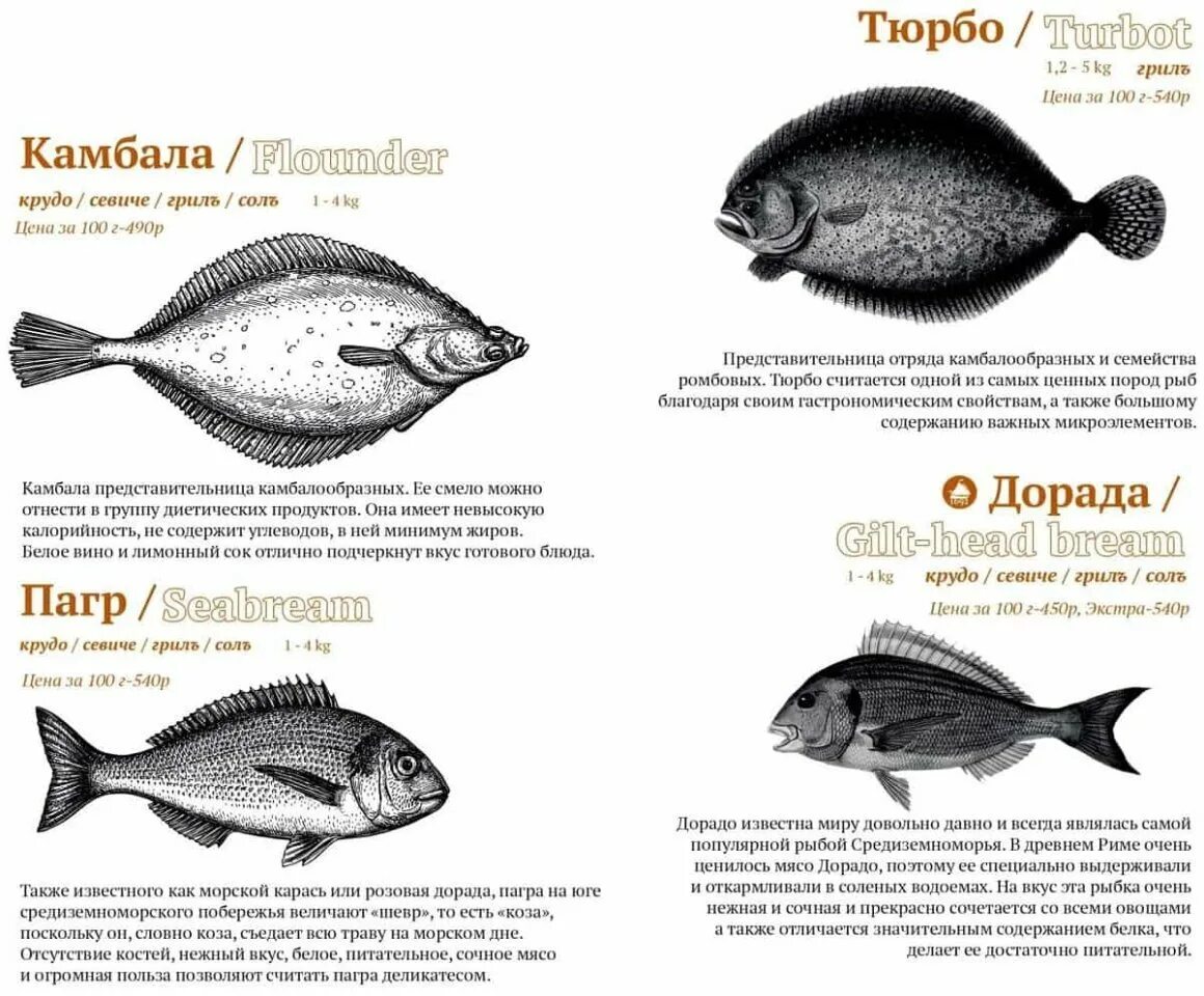 Рыба различие. Камбала дори. Камбала и палтус. Камбала и тюрбо разница. Дори палтус рыба.