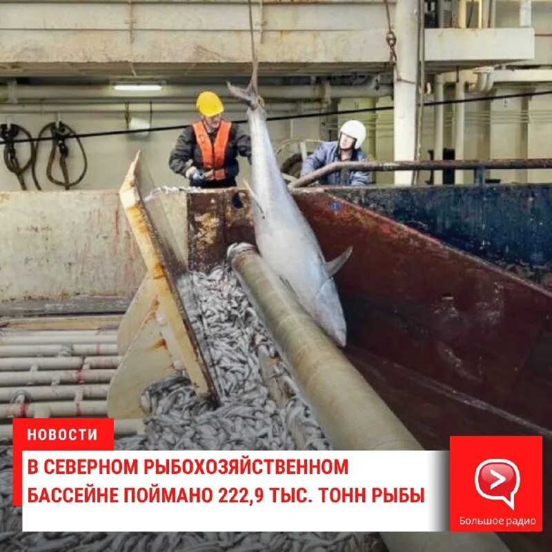 ангельские цифры 222. попадаются 222. номера 222. цифра 225. 1234 число ангелов.