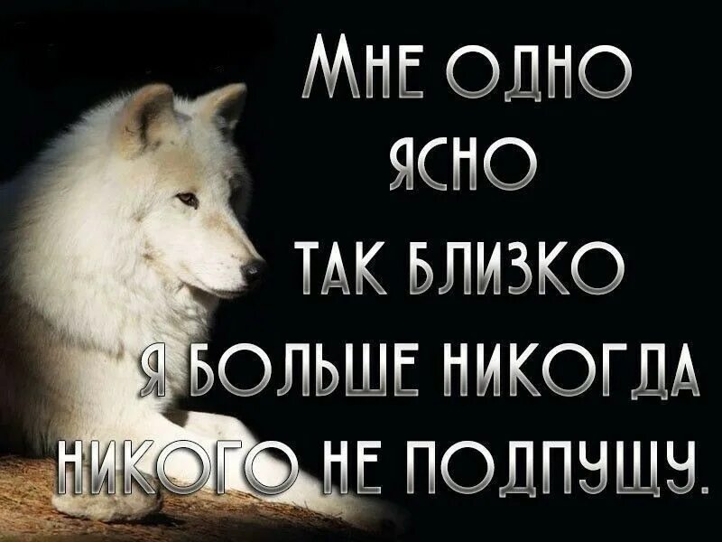 Ближе никого не будет. Больше никого не подпущу близко к сердцу. никогда не подпускай близко к сердцу. я не подпускаю к себе никого. никогда не подпускай к себе близко человека.