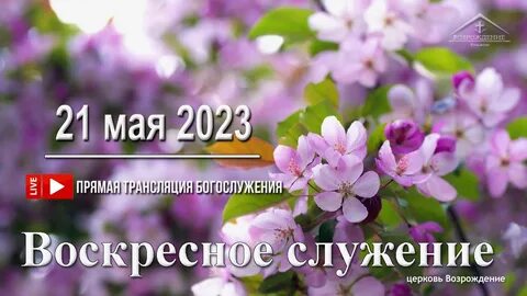 Цветы расцветающие в мае