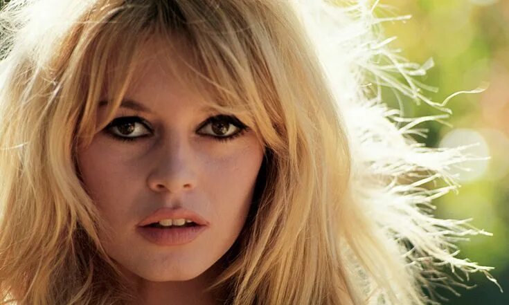 Брижит анн мари бардо фото Pin by Shirley Brown on Brigitte Bardot Brigitte bardot, Bridget bardot, Actress