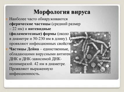Морфология вирусов