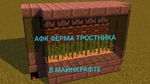 Afk farm