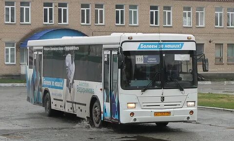 Коркино автобус
