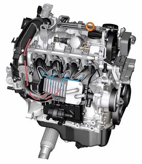 Tsi p4fp