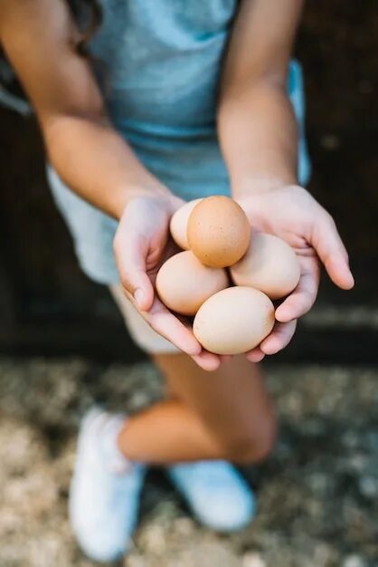 Яйцо в руке. Девушка с яйцами. Куриное яйцо в руке. Пасхальное яйцо в руке.