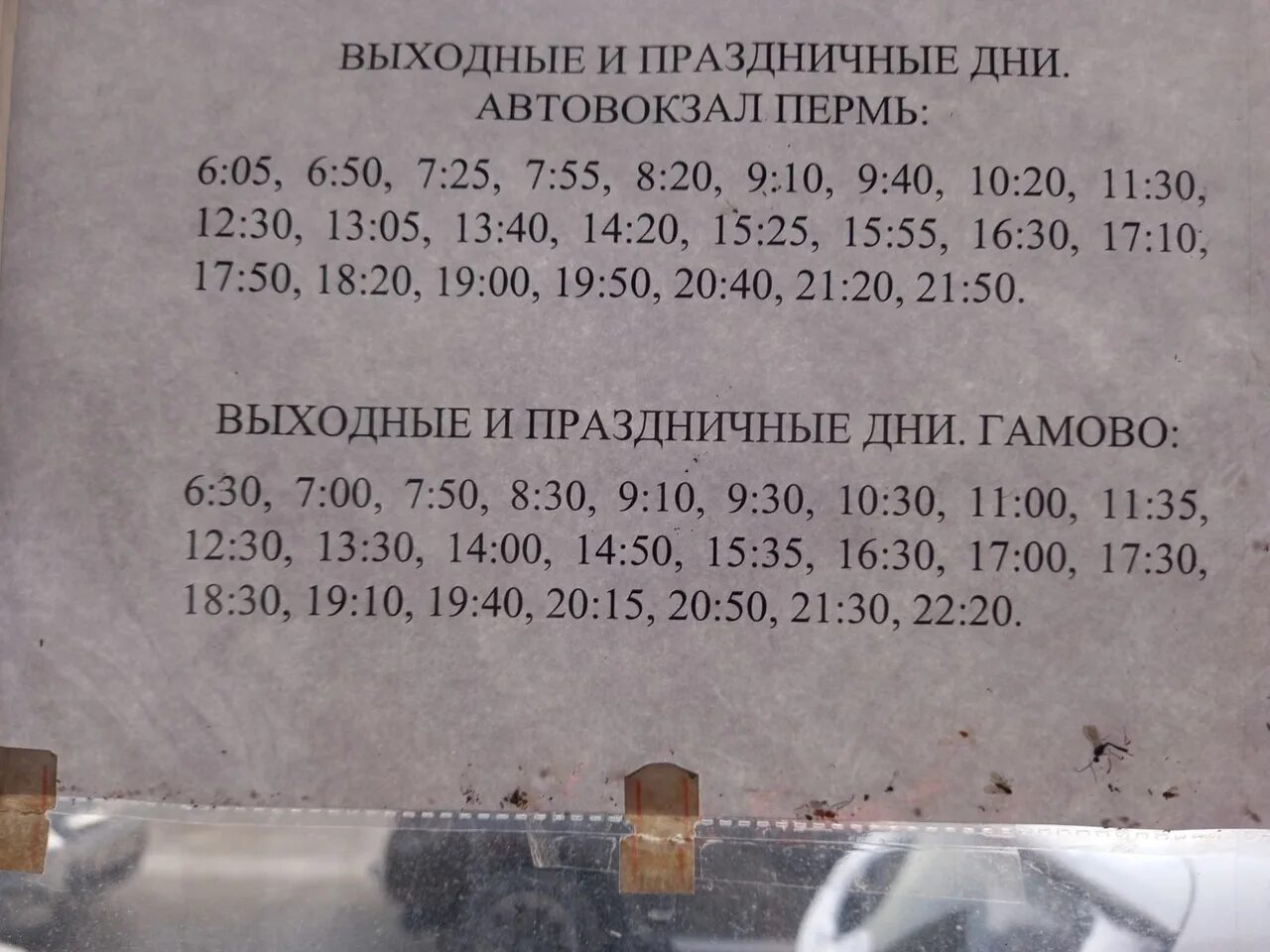 Расписание 62 автобуса пермь сегодня по остановкам. Расписание 104 автобуса Пермь. Расписание автобусов Пермь Гамово. Расписание 104 автобуса Пермь Гамово. Расписание Гамово Пермь.