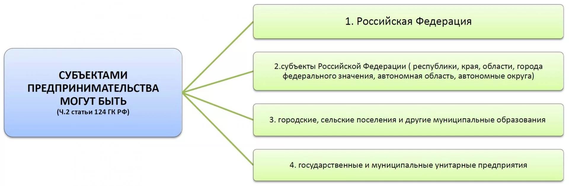 Муниципальные источники субъектов рф. Субъекты предпринимательства. Субъекты предпринимательской деятельности в РФ. Виды субъектов предпринимательства. Субъекты предпринимательской деятельности государство.