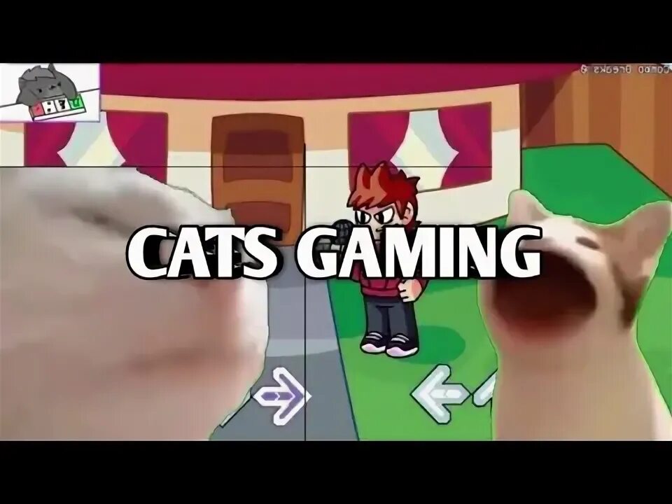 Включи cat jams. Включи cat jams
