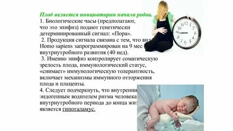 Почему рождается любовь