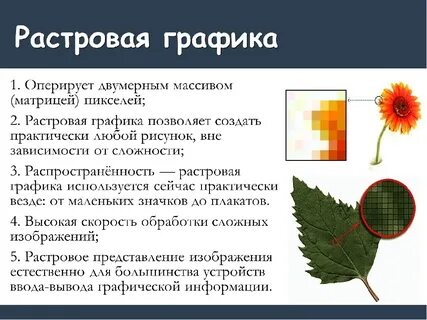 Где используется векторное компьютерное изображение