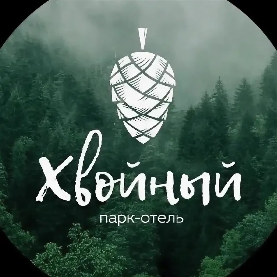 Парк отель зеленогорск. Парк отель хвойный. Парк отель хвойный. Парк отель хвойный. Парк отель хвойный зеленогорск.