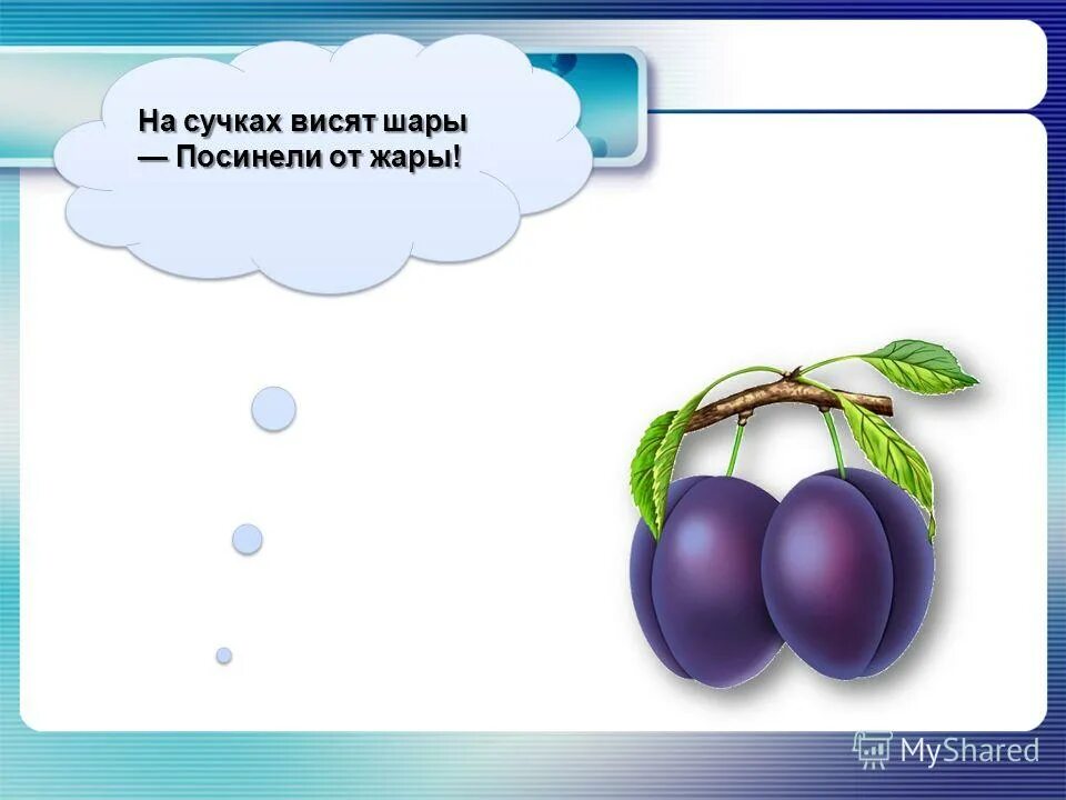 На ветках висят шары посинели от жары. Загадка на ветвях висят шары посинеют от жары. На крючках висят шары посинели от шары. На сучках висят