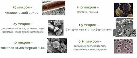 Толщина человеческого волоса в нанометрах