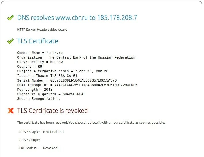 Tls клиент сертификаты. Российские tls сертификаты. tls сертификат госуслуги. пример сертификата tls. tls сертификат.